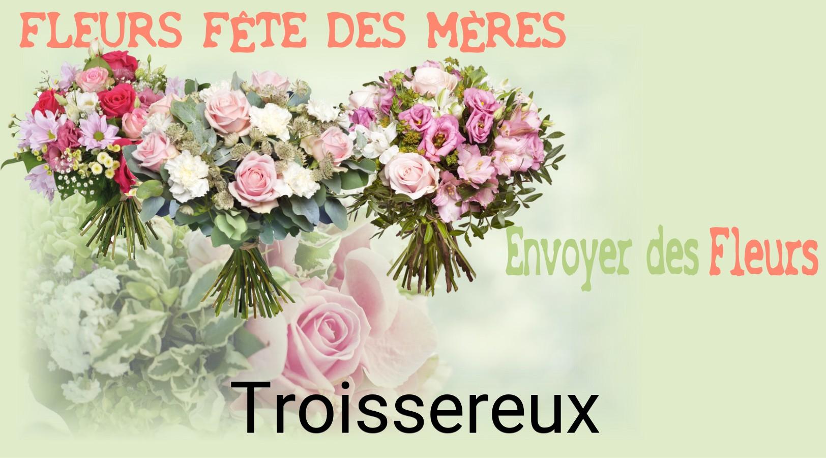 Bouquet de Fête des Mères livré à Troissereux